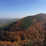 Zatyshna