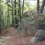 Zatyshna ホテル 2*
