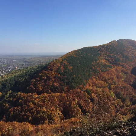 Zatyshna